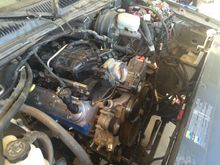 6.0