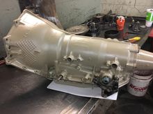 Trans is ready for action!