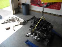 5.3, harness, and PCM