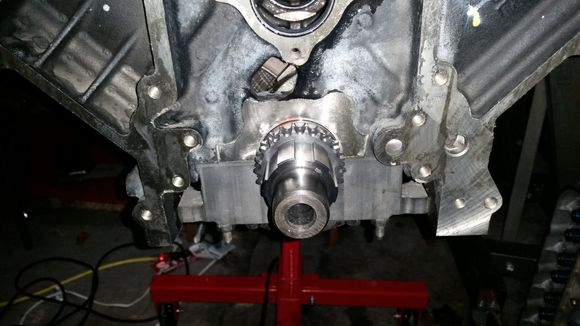 All hooked up, dont need a double roller adjustable timing set for what this motor is, maybe 400 horse if im lucky, next year when i can justify the expense of a turbo or two, at which point it will need more reliable and adjustable timing. Or so i told myself when i bought it. No idea what tuning software is capable of.