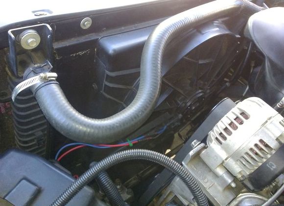 Ford Torino fan