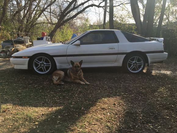 The supra