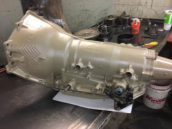 Trans is ready for action!