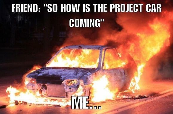 How I feel when everyone asks me how it's going! Haha