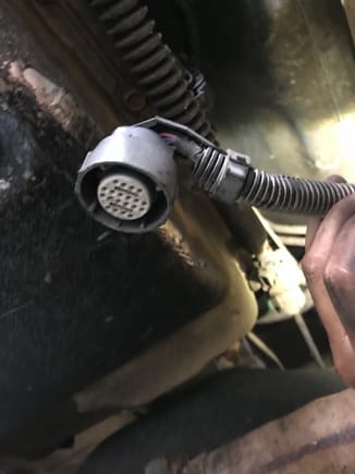 Harness plug back near the transmission - I don't know what it is or where it goes. HELP!