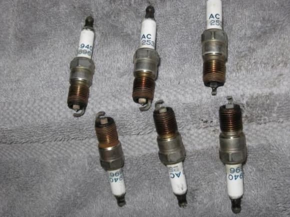 Old Spark Plugs, notice they are in good condition and no evidence of Coolant nor oil on them.
