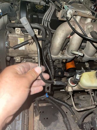 Does anyone know what this is ?  My truck has been idling rough and I found this hanging loose under the hood. But I can’t figure out what it came off of so I can reattach it 