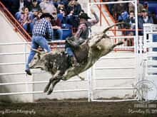 On &quot;Eartag 1&quot; Bull Ride Mania Finals, Harrisburg PA