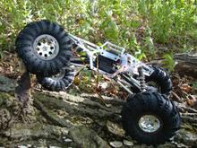 losi comp