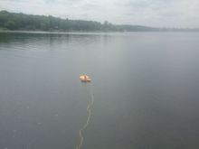 sub is out beyond the tender