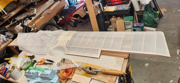 top of top wing, top wing was covered with 2 pieces of fabric.