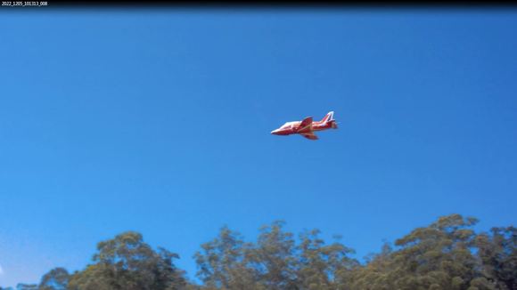 Hawk in action.