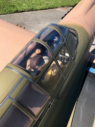 Scale pilot and cockpit