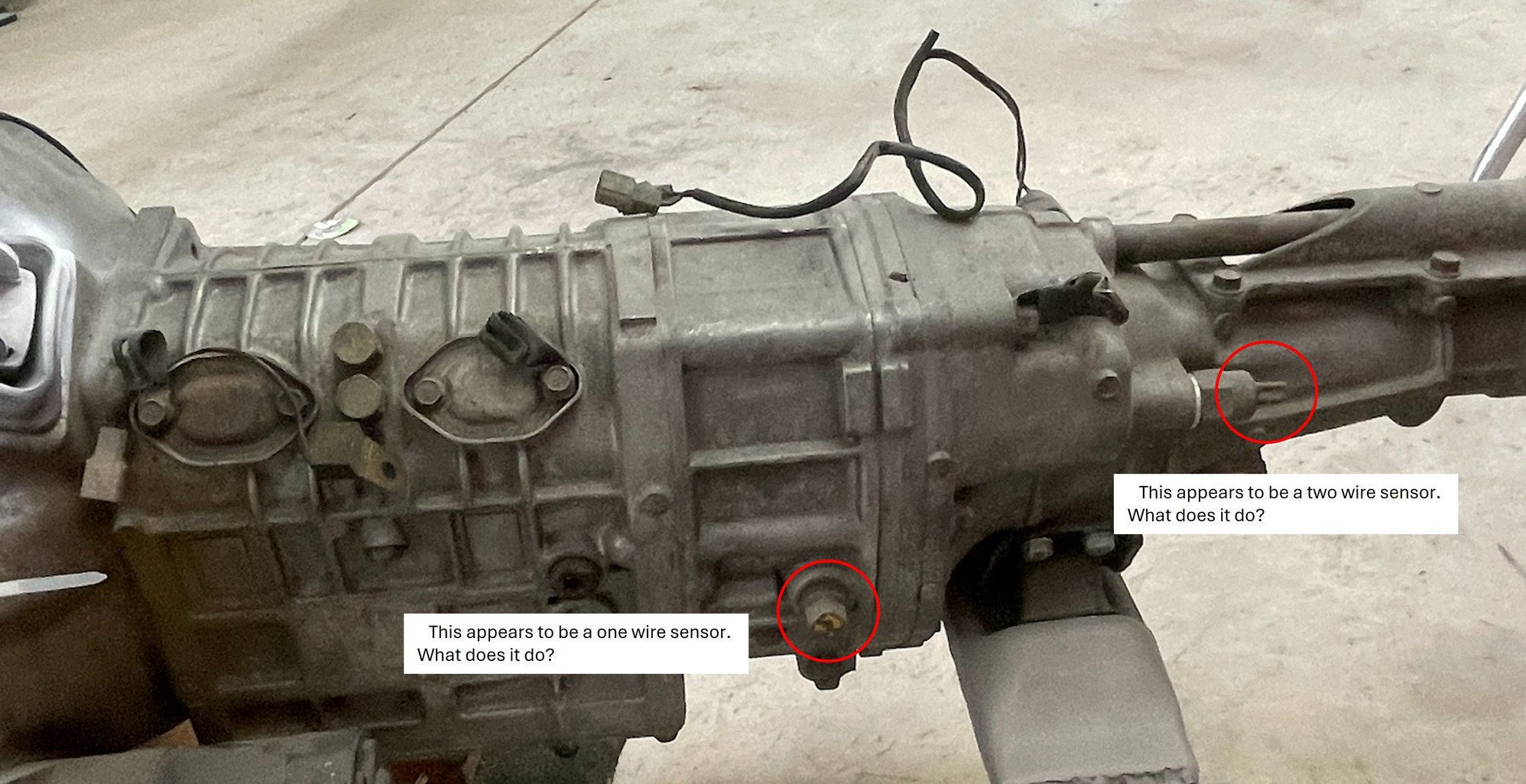 Trans left side - what are these?