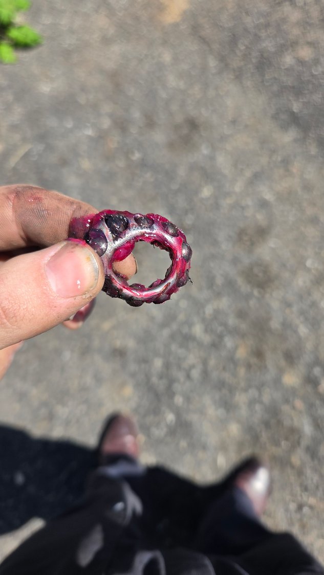 It was the bearing 