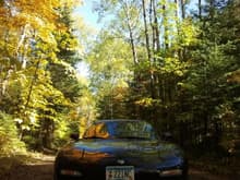 Fall in Minnesota, gotta love 5*C air intake temps, and fall colors