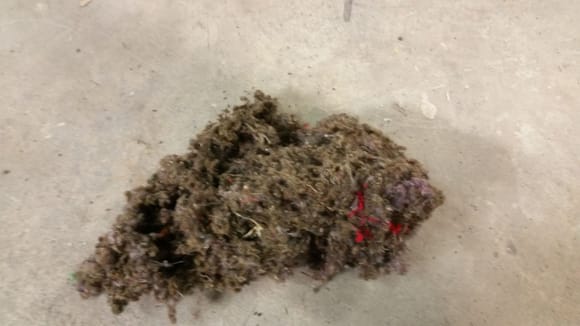 Removed the bins, found this in between the bins, this is the third dead mouse I found. This gives new meaning to the term " rats nest ".