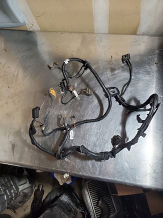 S5 turbo battery harness.  All plugs intact 