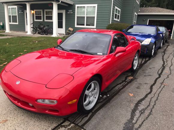 My FD got new shoes too