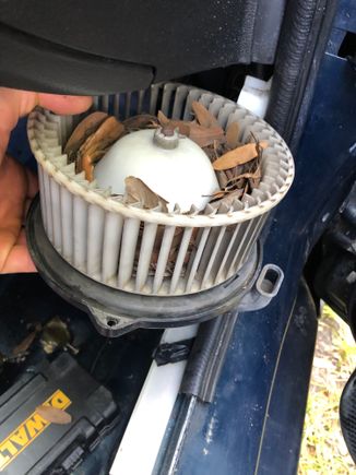 One of the problems I found in my ac system