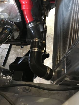 Lower hose came out suprisingly well.  