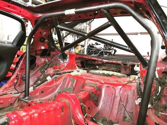 Back half of the cage is coming together nicely.