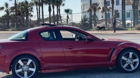 Dude and dog peepin’ the whip