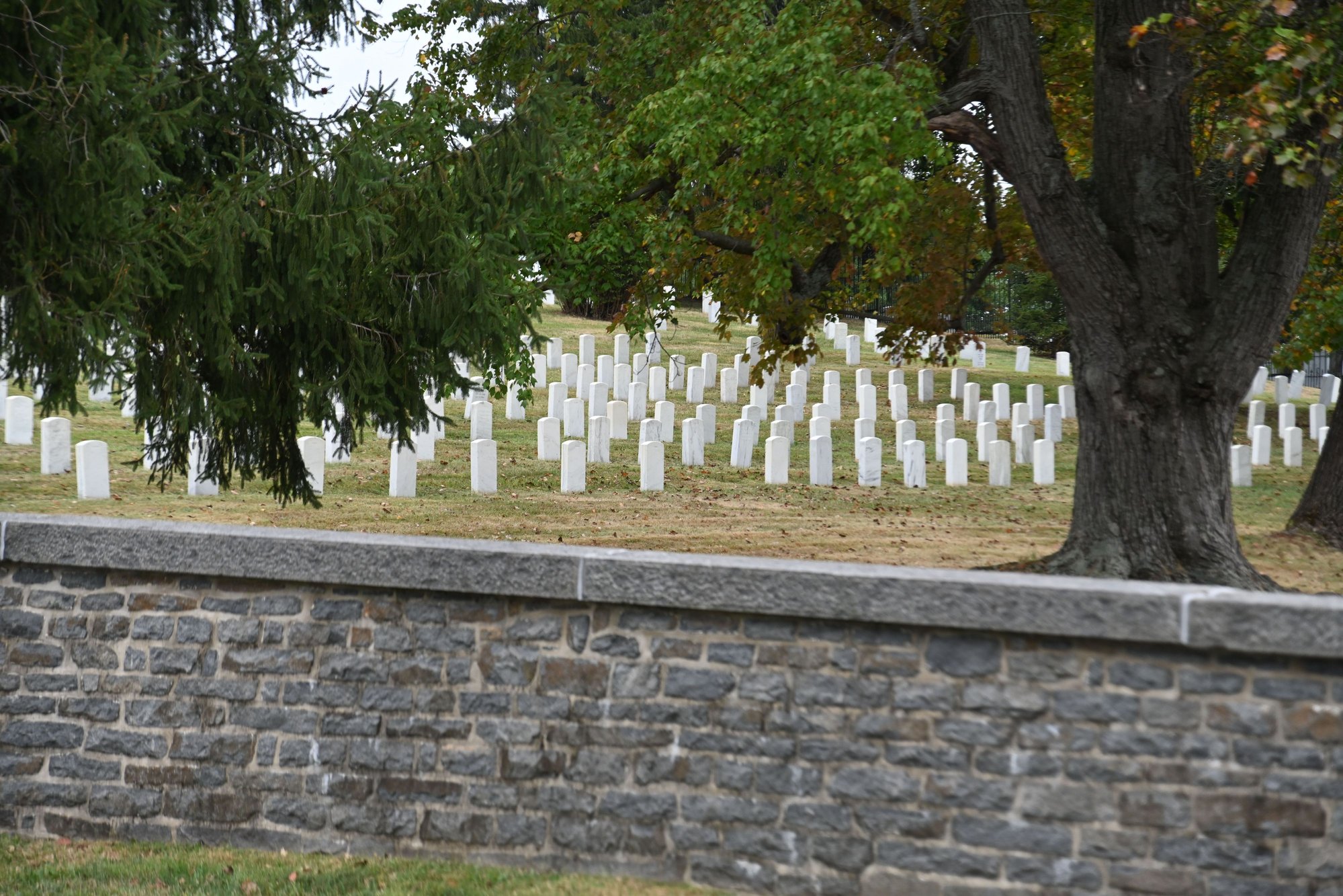 Why do cemeteries have fences?  Those people arent going to leave.