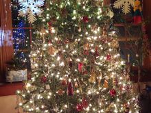 Camera caught the middle section where the old incandescents went out with no further hope of repair (replaced with a string of LEDs). When the tree is taken down I'll cut off all of the old lights and use LED strings next year. 