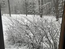 Taken this morning and it’s still coming down.
