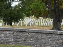 Why do cemeteries have fences?  Those people aren't going to leave.