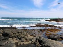 Ocean Drive, Newport, RI