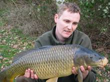 carpy2.jpg