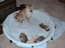 DSC00083.jpg
