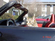 DSC00786.JPG
