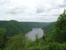 DSC00046.jpg