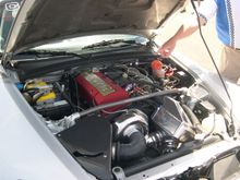 DSCN0513.JPG