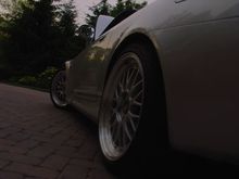 Picture 2483r.jpg
