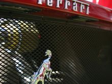 IMG_7187.JPG