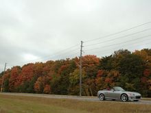 DSC_0276-vi.jpg