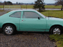 Ypinto80.gif