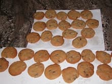 Cookies 11-19-04