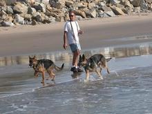 11-26-04 Dogs and AK on beach