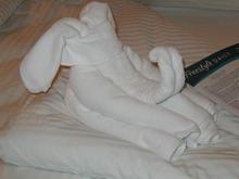 towel art elephant.jpg
