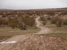 1-9-05 wet desert trail