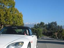 IMG_3493.JPG