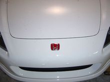 DSC00294.jpg