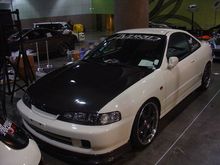 Copy of DSC00541.JPG