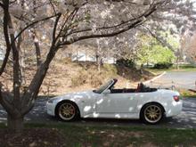 Spring time