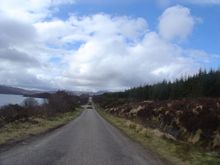DSC00064.jpg